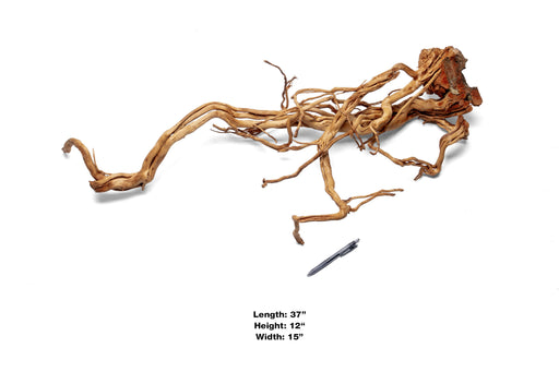 Ancient Wood Showpiece (AW04)