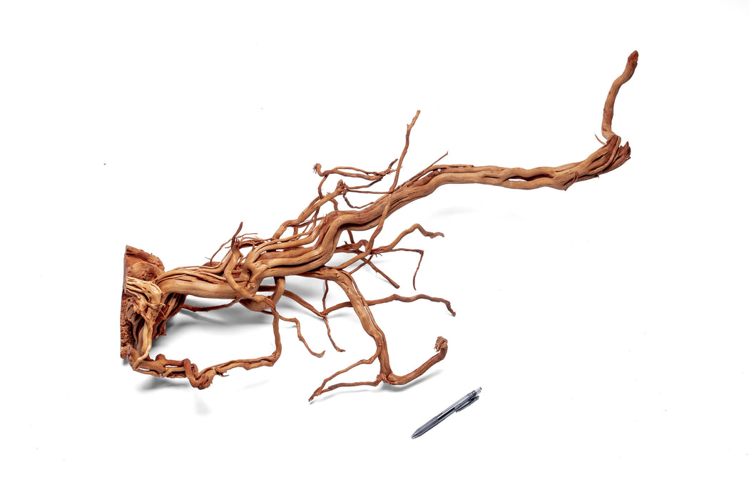 Ancient Wood Showpiece (AW04)