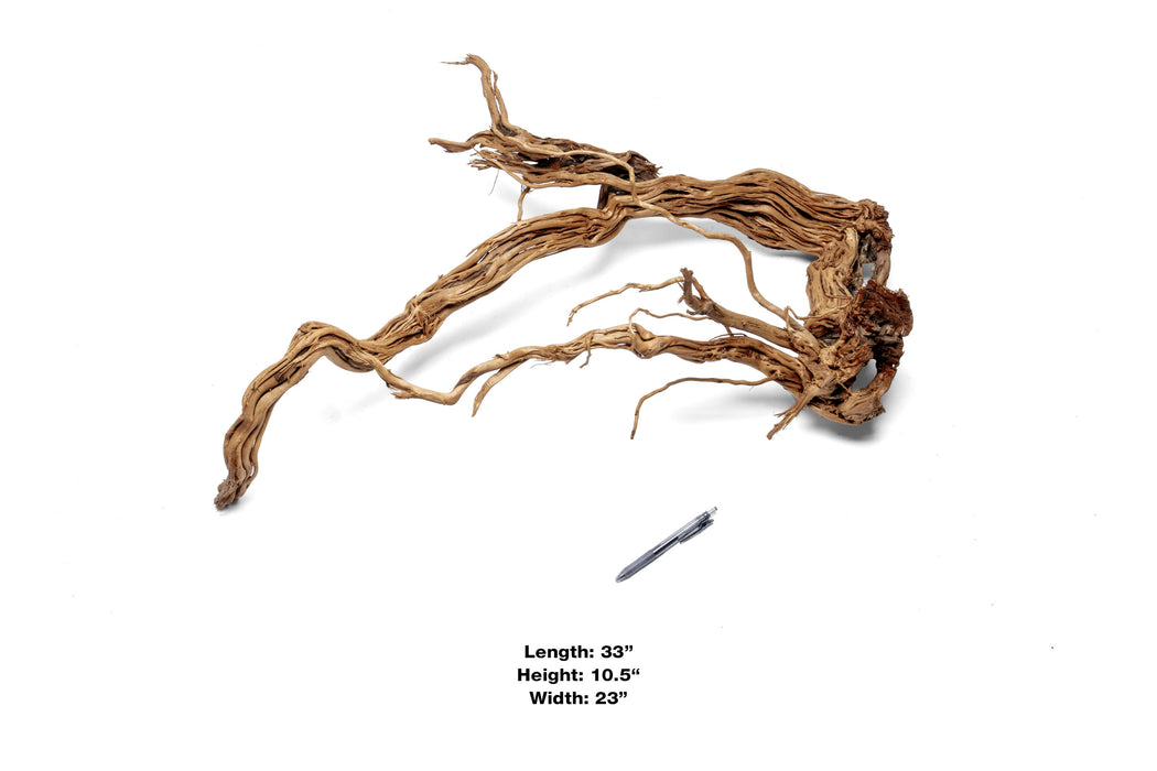 Ancient Wood Showpiece (AW05)