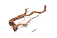 Ancient Wood Showpiece (AW05)