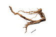 Ancient Wood Showpiece (AW05)