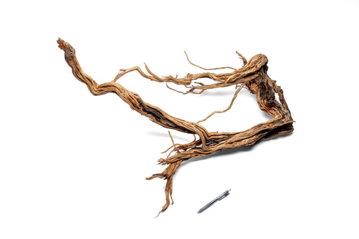 Ancient Wood Showpiece (AW05)