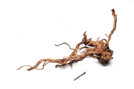 Driftwood ancient wood showpiece by UNSHARDSCAPE, showcasing intricate natural wood details and organic craftsmanship.