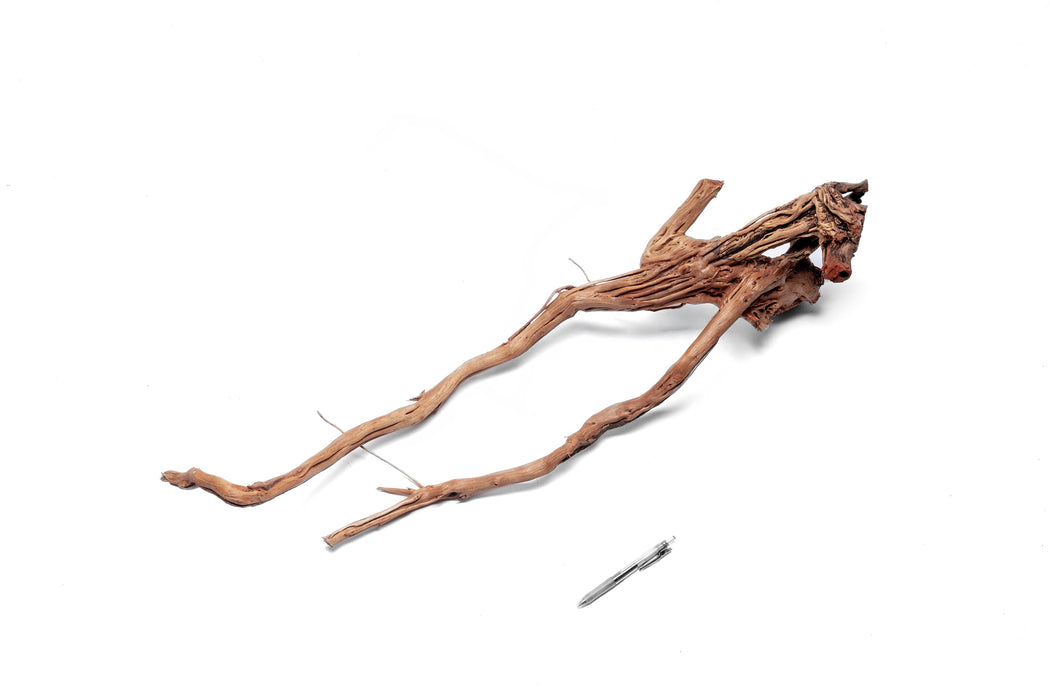 Ancient Wood Showpiece (AW07)