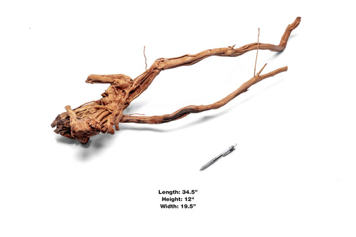 Ancient Wood Showpiece (AW07)