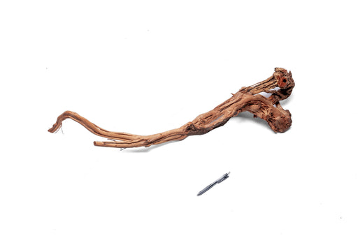 Ancient Wood Showpiece (AW07)