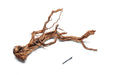 Elegant driftwood ancient wood showpiece by UNSHARDSCAPE, showcasing natural textures and intricate wood grains.