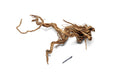 Ancient Wood Showpiece (AW09)