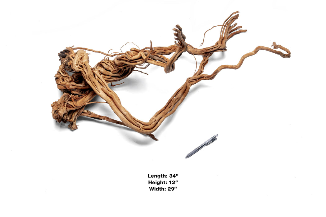 Ancient Wood Showpiece (AW09)