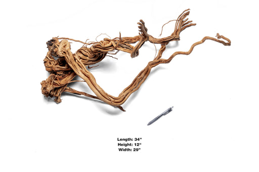 Ancient Wood Showpiece (AW09)