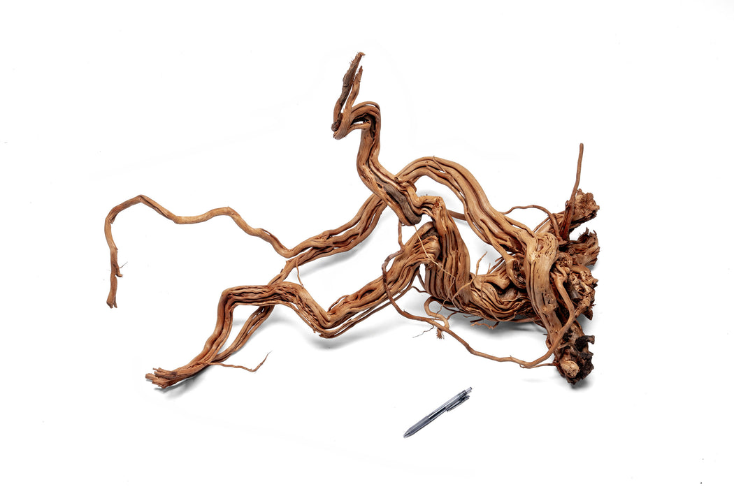 Ancient Wood Showpiece (AW09)