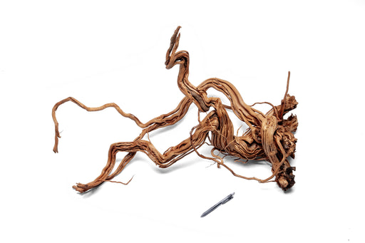 Ancient Wood Showpiece (AW09)