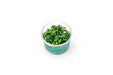 Anubias Nana UNS Tissue Culture