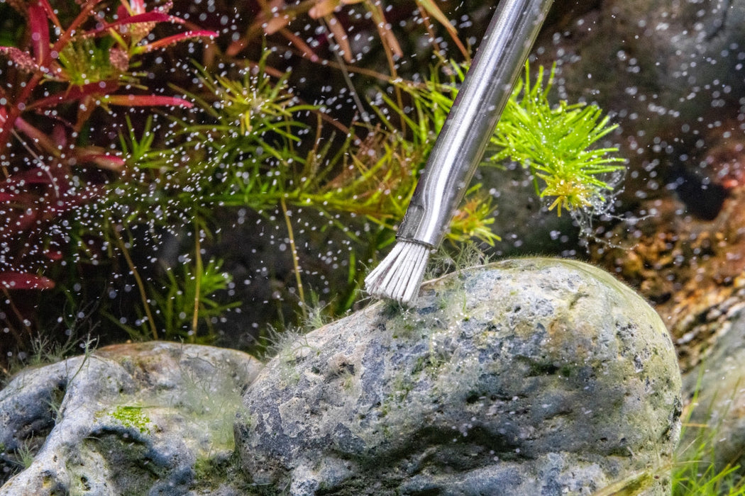 removing algae from plastic aquarium plants Aqua Worx Algae Brush