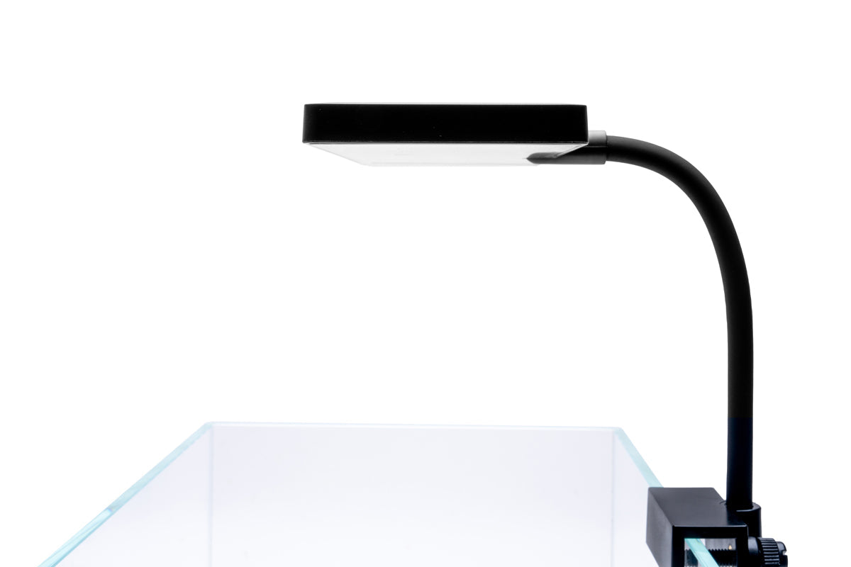 Aqua Worx EOS LED (White) - Gooseneck Nano Aquarium Light — Buce Plant