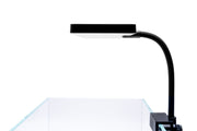Aqua Worx EOS LED Aquarium Light - White Lighting - Buce Plant
