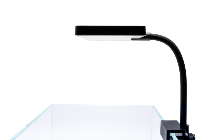Aqua Worx EOS LED Aquarium Light - White Lighting - Buce Plant