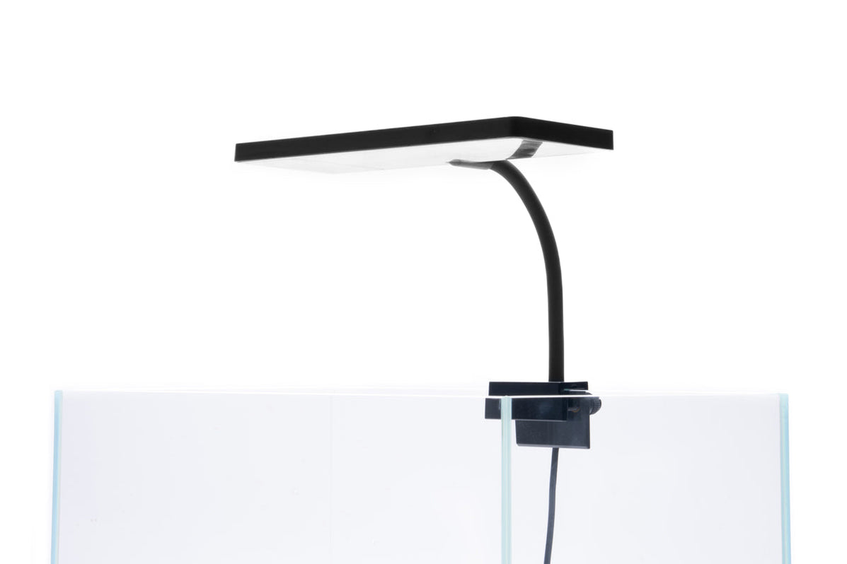 Aqua Worx EOS LED Aquarium Light White — Buce Plant