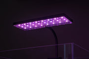 Aqua Worx EOS LED Aquarium Light with RGB color options, sleek black lighting fixture designed for vibrant freshwater or marine tanks.