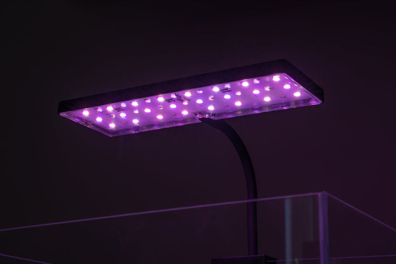 Aqua Worx EOS LED Aquarium Light with RGB color options, sleek black lighting fixture designed for vibrant freshwater or marine tanks.