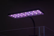 Aquaworx EOS LED aquarium light with RGB color options, providing vibrant illumination for freshwater or saltwater tanks.