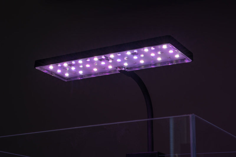 Aquaworx EOS LED aquarium light with RGB color options, providing vibrant illumination for freshwater or saltwater tanks.