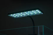 Aqua Worx EOS LED Aquarium Light in RGB with adjustable brightness and color for vibrant aquatic displays