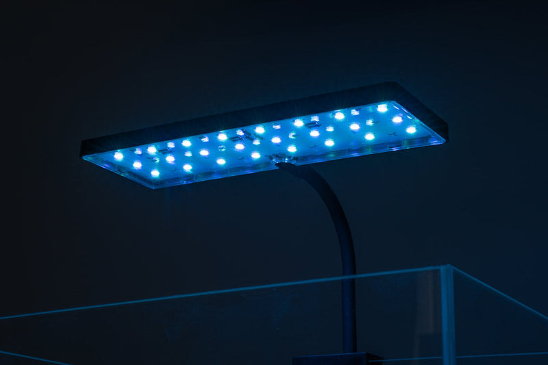 Aqua Worx EOS LED Aquarium Light in RGB with adjustable brightness and color settings for vibrant aquatic environments.