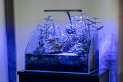 Aqua Worx EOS LED Aquarium Light in RGB with adjustable brightness, designed for vibrant aquatic tank illumination.