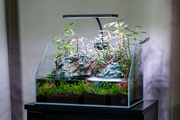 Aqua Worx EOS LED Aquarium Light in RGB with adjustable color settings, designed for vibrant freshwater and saltwater aquariums.
