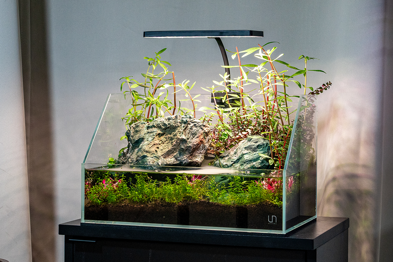 Aqua Worx EOS LED Aquarium Light in RGB with adjustable color spectrum and sleek design for vibrant freshwater tanks.