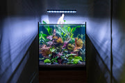 Aquaworx EOS LED Aquarium Light in RGB displaying vibrant colored lighting for freshwater or saltwater tanks.
