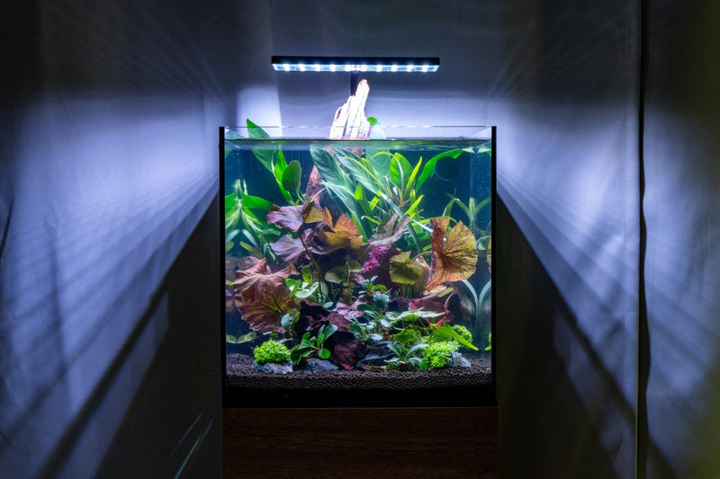 Aquaworx EOS LED Aquarium Light in RGB displaying vibrant colored lighting for freshwater or saltwater tanks.