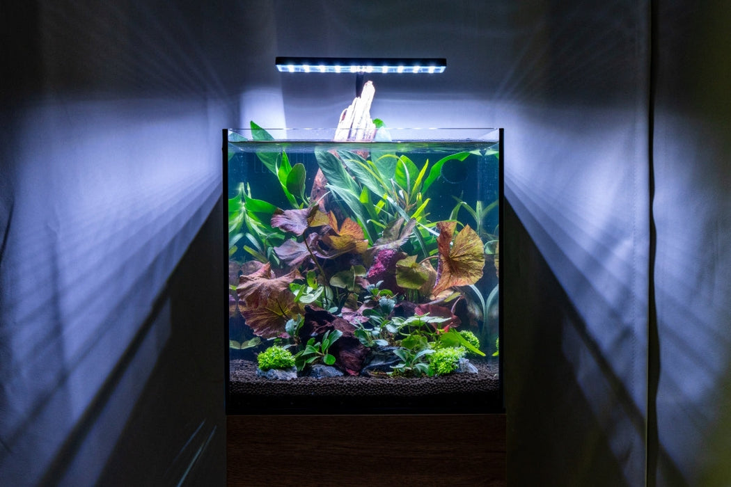 Aqua Worx EOS LED Aquarium Light, N5 RGB