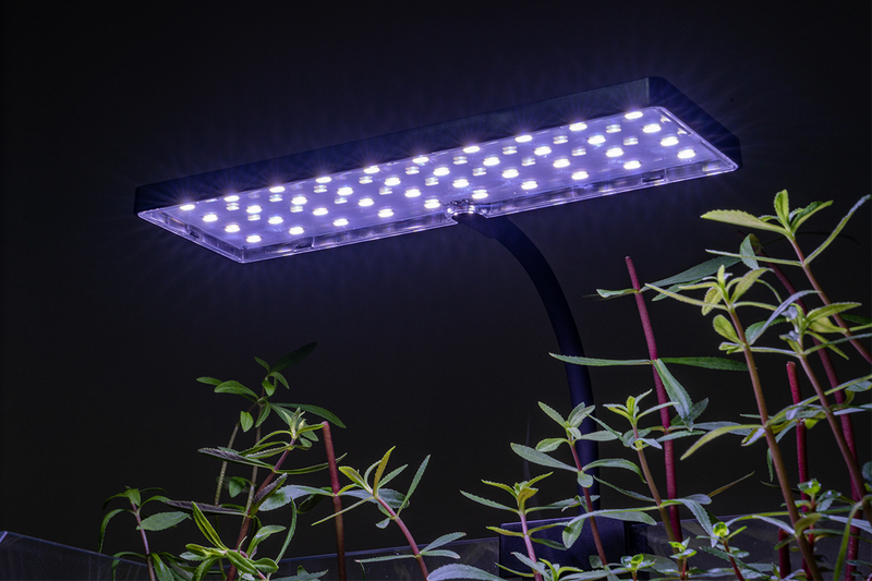 Aqua Worx EOS LED Aquarium Light - White Lighting - Buce Plant