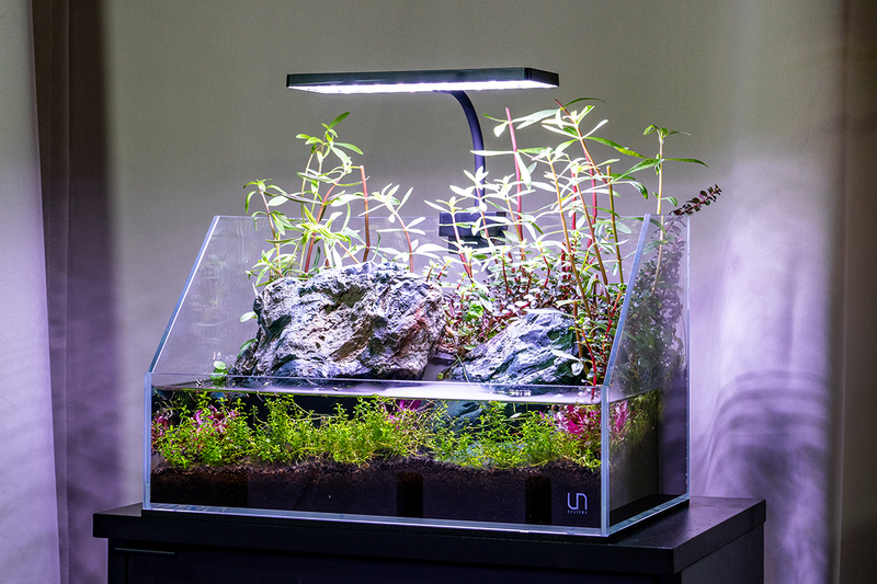 Aqua Worx EOS LED Aquarium Light - White Lighting - Buce Plant