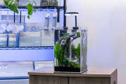 Aqua Worx Sand Waterfall Tank Kit A2 (30CM) Aquarium Kit - Buce Plant