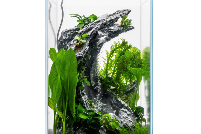 Aqua Worx Sand Waterfall Tank Kit A2 (30CM) Aquarium Kit - Buce Plant