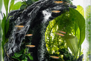 Aqua Worx Sand Waterfall Tank Kit A2 (30CM) Aquarium Kit - Buce Plant