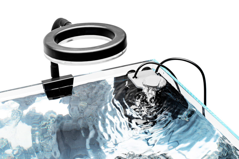 Aqua Worx Sand Waterfall Tank Kit A2 (30CM) Aquarium Kit - Buce Plant
