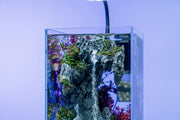 Aquaworx Sand Waterfall Aquarium Tank Kit B1, 20cm with sand waterfall feature, ready for freshwater or marine setups