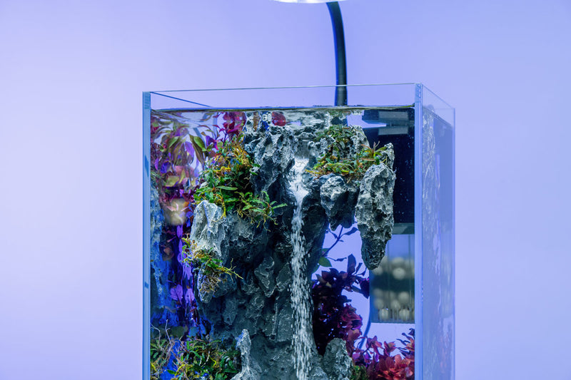 Aquaworx Sand Waterfall Aquarium Tank Kit B1, 20cm with sand waterfall feature, ready for freshwater or marine setups