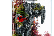 Aquaworx Sand Waterfall Aquarium Tank Kit B1, 20cm, showcasing the tank with sand and waterfall feature for aquatic display.