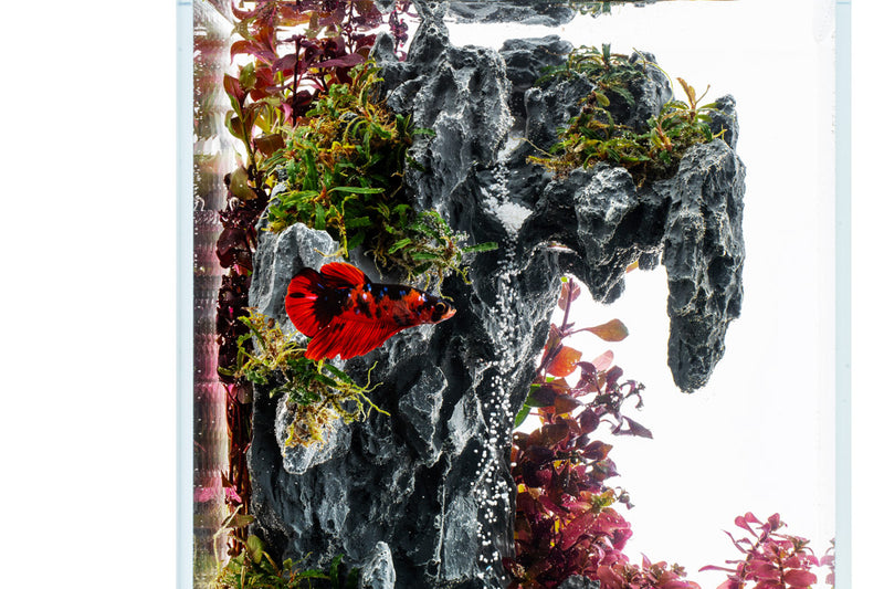 Aquaworx Sand Waterfall Aquarium Tank Kit B1, 20cm, showcasing the tank with sand and waterfall feature for aquatic display.