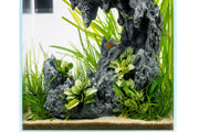Aquaworx Sand Waterfall Aquarium Kit C1 with 30cm tank, featuring waterfall filtration and sand substrate for aquatic setup.