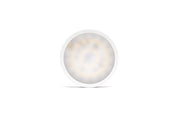 Aqua Worx SOL LED Light Lighting - Buce Plant