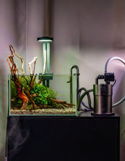 Aqua Worx SOL Light Clamp Lighting - Buce Plant