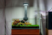 Aqua Worx SOL Light Clamp Lighting - Buce Plant