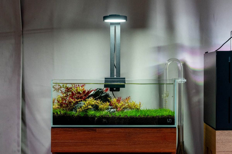 Aqua Worx SOL Light Clamp Lighting - Buce Plant