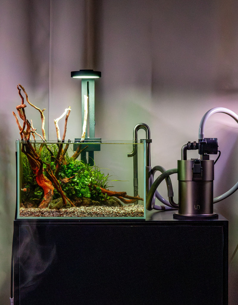 Aqua Worx SOL Light Kit - Clamp Lighting - Buce Plant